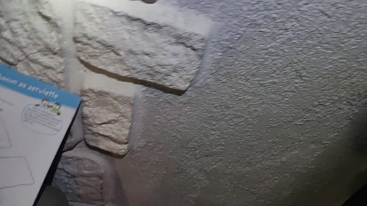 2022-08-05 (3) - Raviolis au poivre - Twitch Triskelina