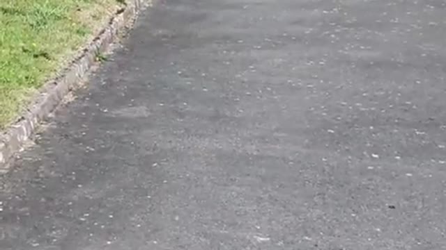 CONNOR NEVISON Lancaster