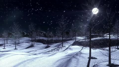Icy soothing bamboo flute music for body & soul