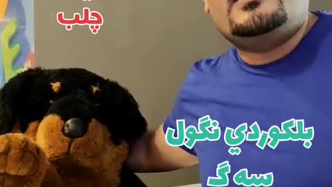 كلب🐕🦮 بلكوردي وبلتركماني #وسام_بترول