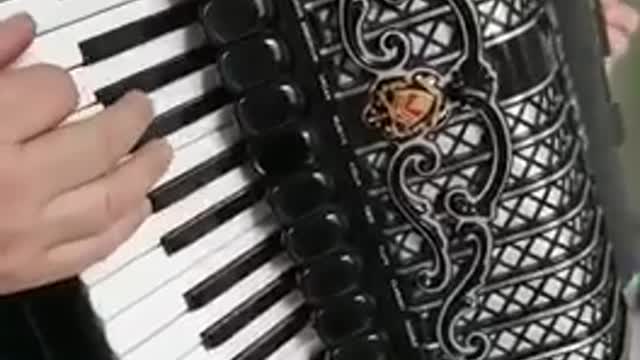 accordeon