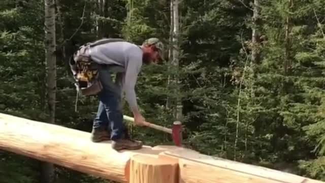 Wood working video #shorts