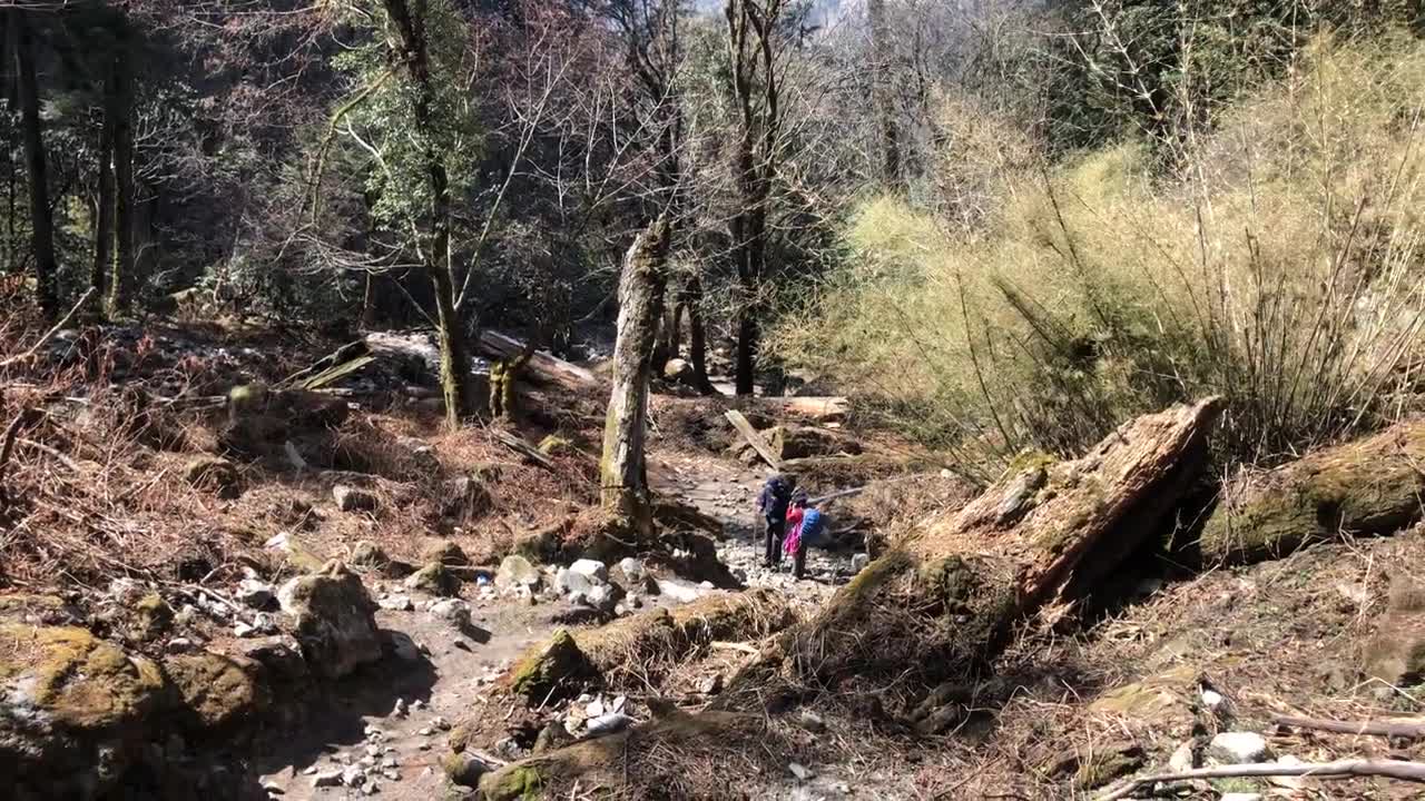 On the way to langtang