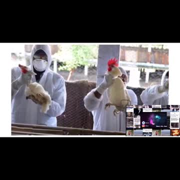 China confirms first human case of H10N3 bird flu: report