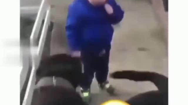 Child gives a lollipop to a dog for tasting.