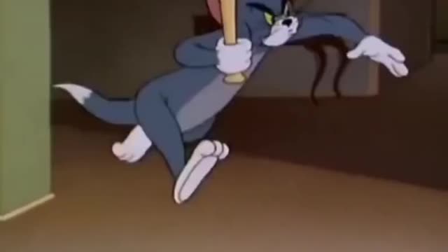 Funny video