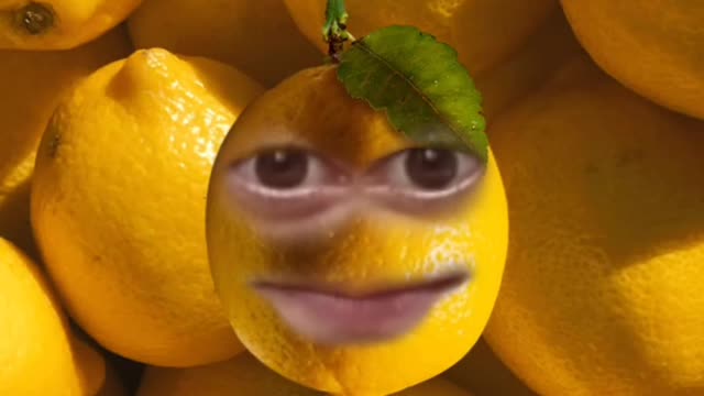 funny effects lemon