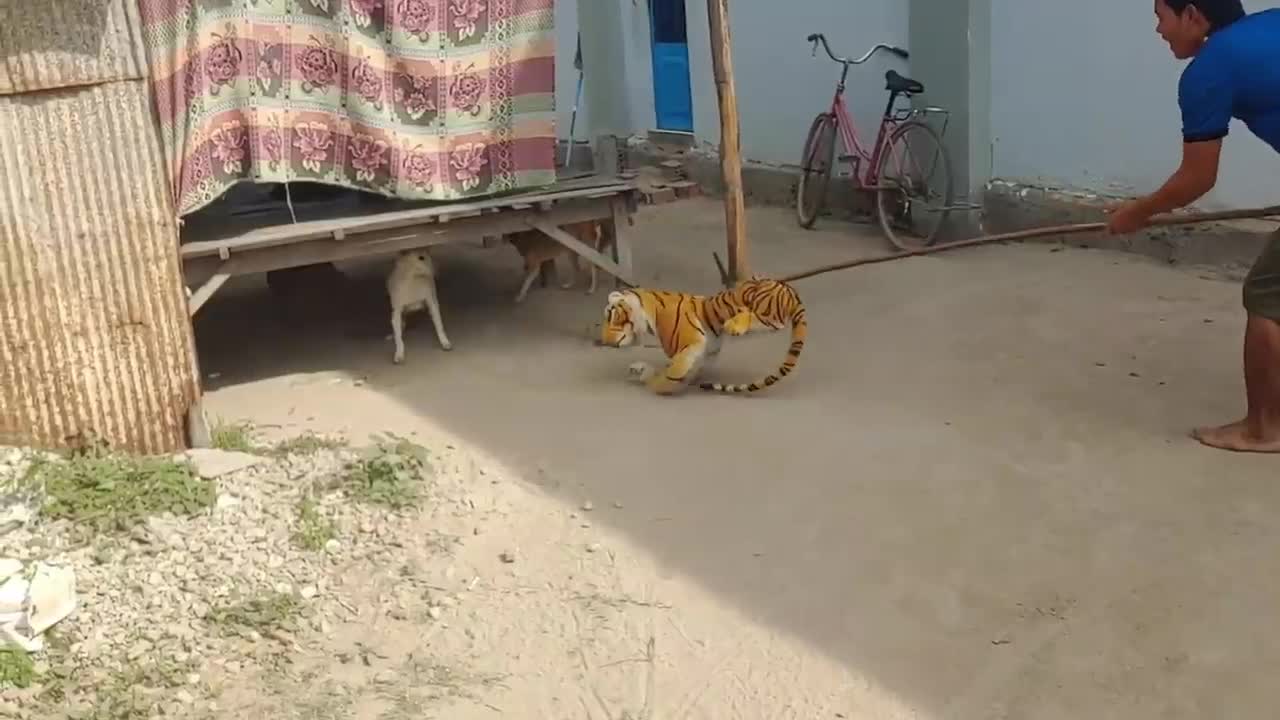 OH WOW.. THIS IS TOO FUNNY. DOG TIGER PRANK VIDEO