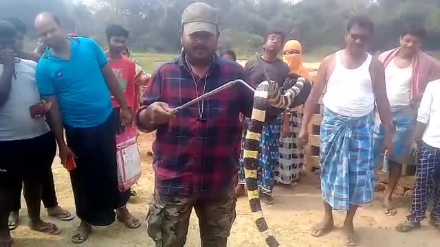 Snake rescue from fishing net