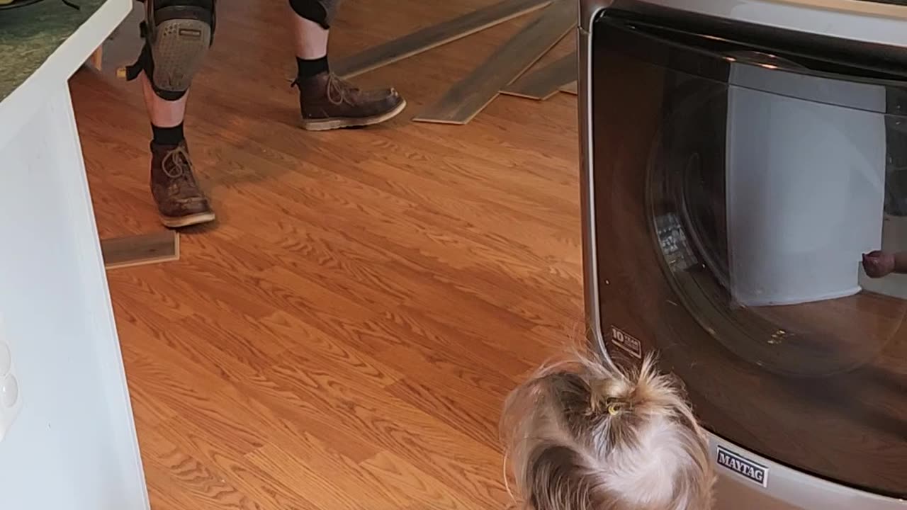 Daddy And Daughter Dance Off