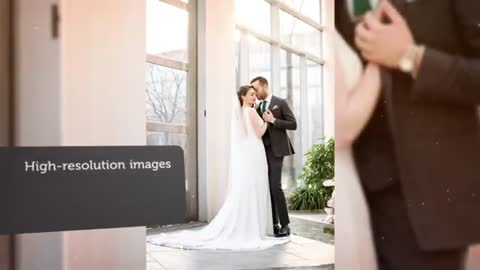 Robin Fox Photography - Wedding Photographers in Rochester, NY