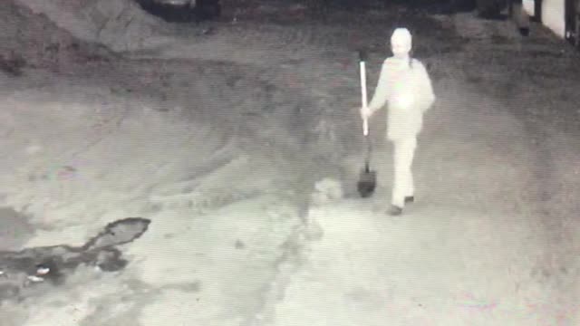 Sunday June 02, 2021 - #28