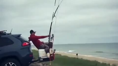 This is a beautiful and charming water-dwelling species