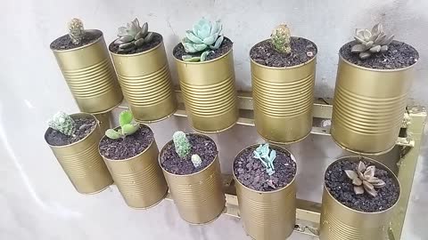 Plantas com material reciclado