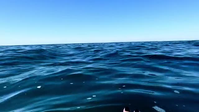 What it looks like at eye level to the ocean