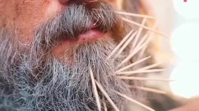 funny and entertaining videos