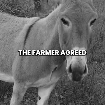 Trump, The Farmer & The Donkey - Brilliant!!!