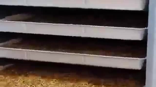 Toσα χρονια σε ταιζουν τωρα σοκαρεσαι... Eχεις πολυ πλακα !