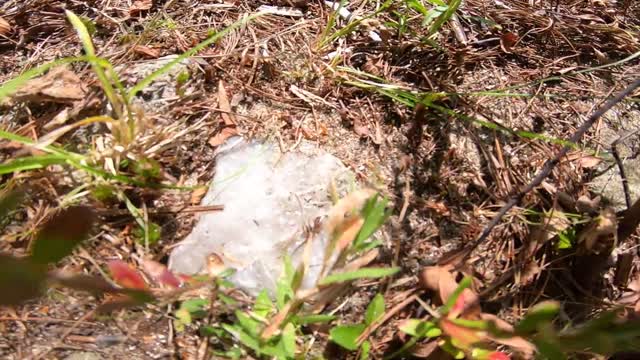 Quartz