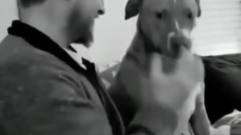 Ultimate Baby Dogs - Cute And Funny Dog Videos Compilation #shorts