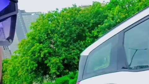 Safar ki video