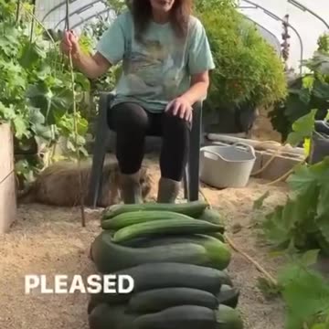 Better way to grow Crops with Copper Wire