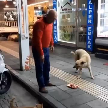 Anti-Loosh Video Number 38. LOOSH is real and bad. Explained below and watch the video!