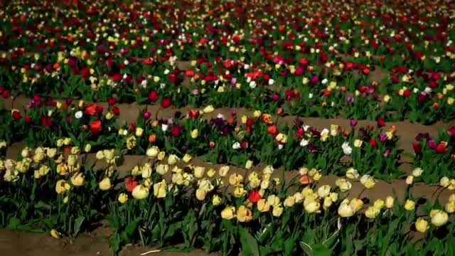 beautiful nature