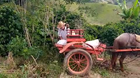 simple life in the countryside