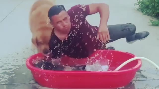 Fun animals | Dog