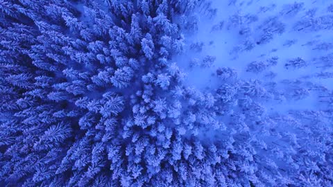 Weather vidéo
