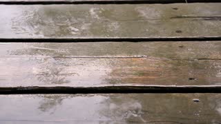 Winters Cold Rain has arrived-Silent Vlog