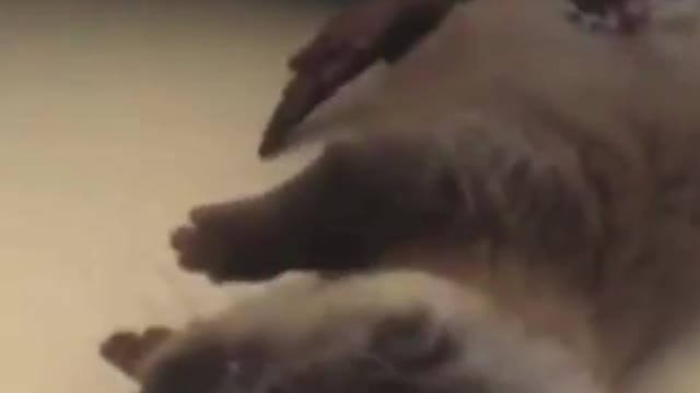 This new born little guy doesn't know how to walk yet