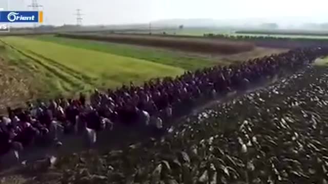 Tens of thousands of African & Middle Eastern illegals gather in Turkey & prepare to storm Europe