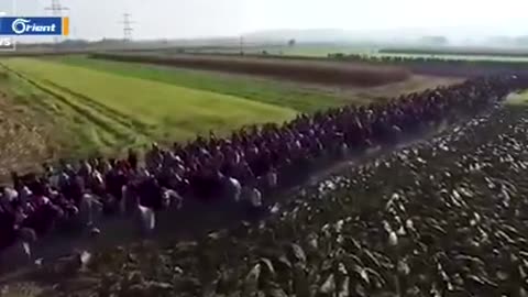 Tens of thousands of African & Middle Eastern illegals gather in Turkey & prepare to storm Europe