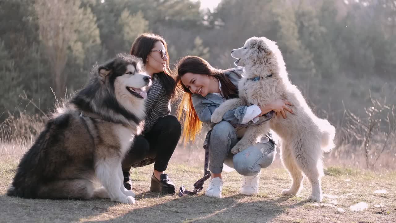 Women Holding Their Dogs