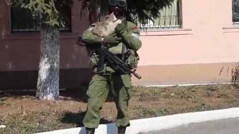 Russian soldier and cat