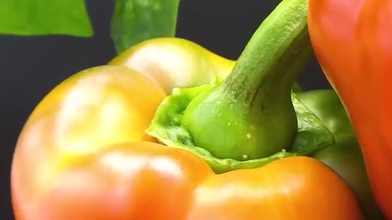 Fast growing vegetables