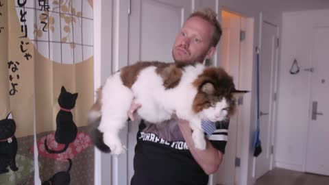 Meet The Largest Cat In NYC (And His Human, Too)