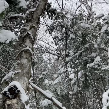 Wow. There is a peak. Right?