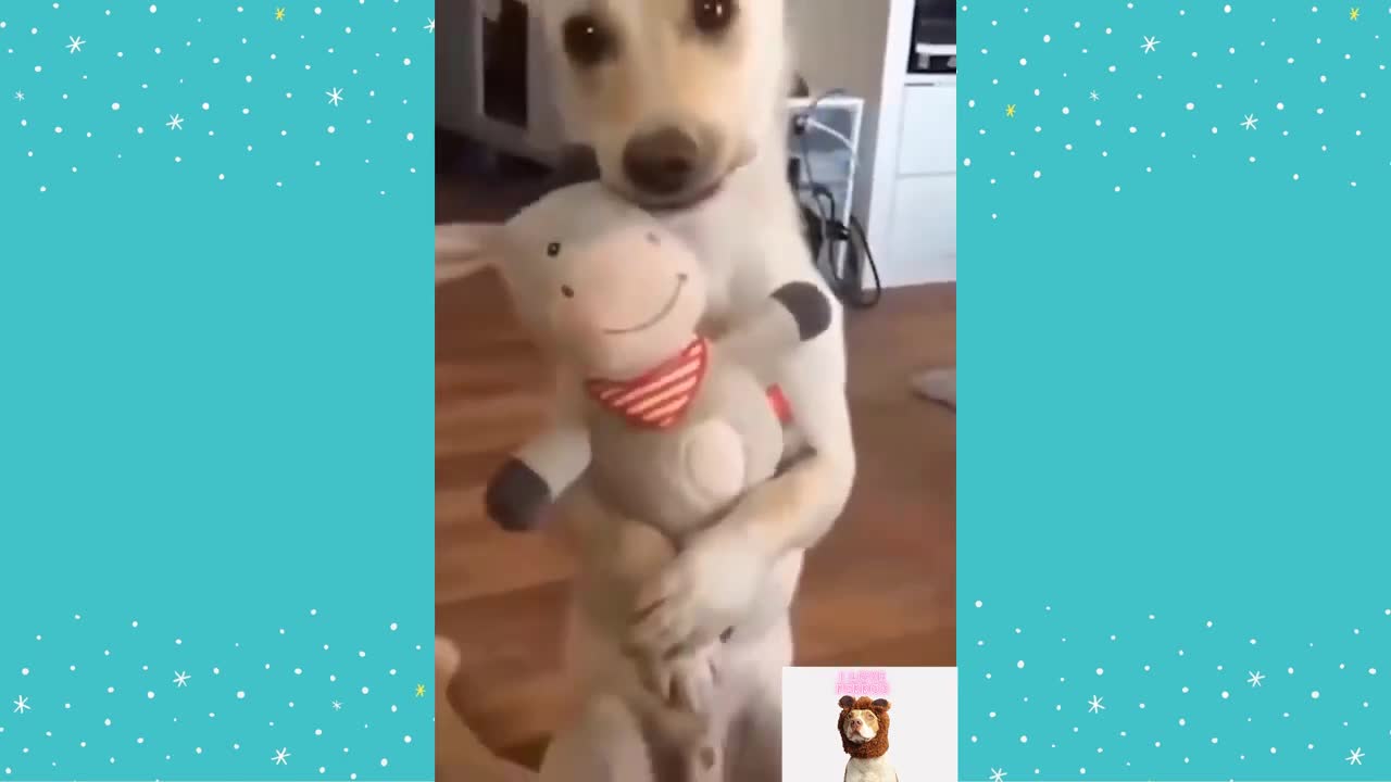 Vídeos de Perritos ☺ Perros y Cachorros lindos y graciosos