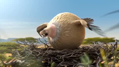 Animal Funny Video Fat bird