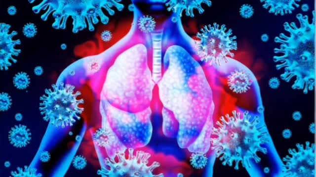 Dell Bigtree Interviews Dr. Geert Vandon Bosshe