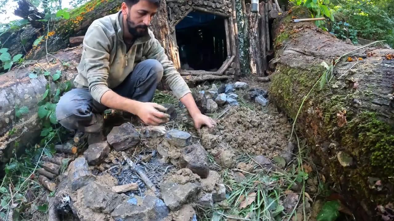 Survival: trying to survive a storm with a dog