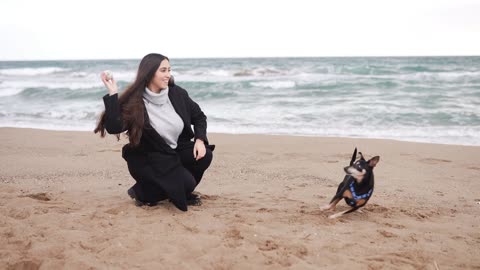 play with dog on beach :))