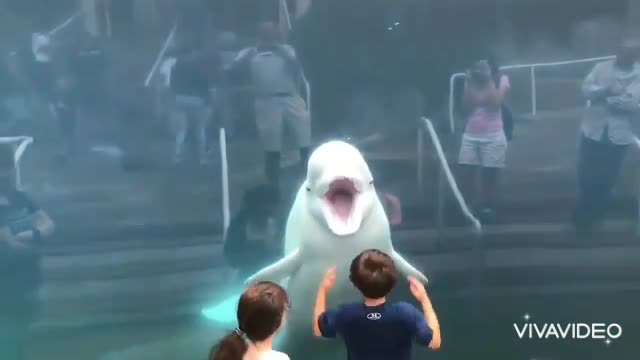 Kids having fun with fish