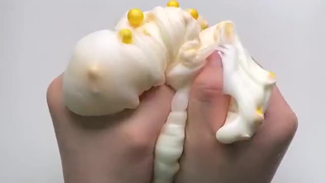 Salime Satisfying video