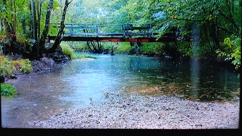 STAY THE PATH: PSALMS 119:1-8