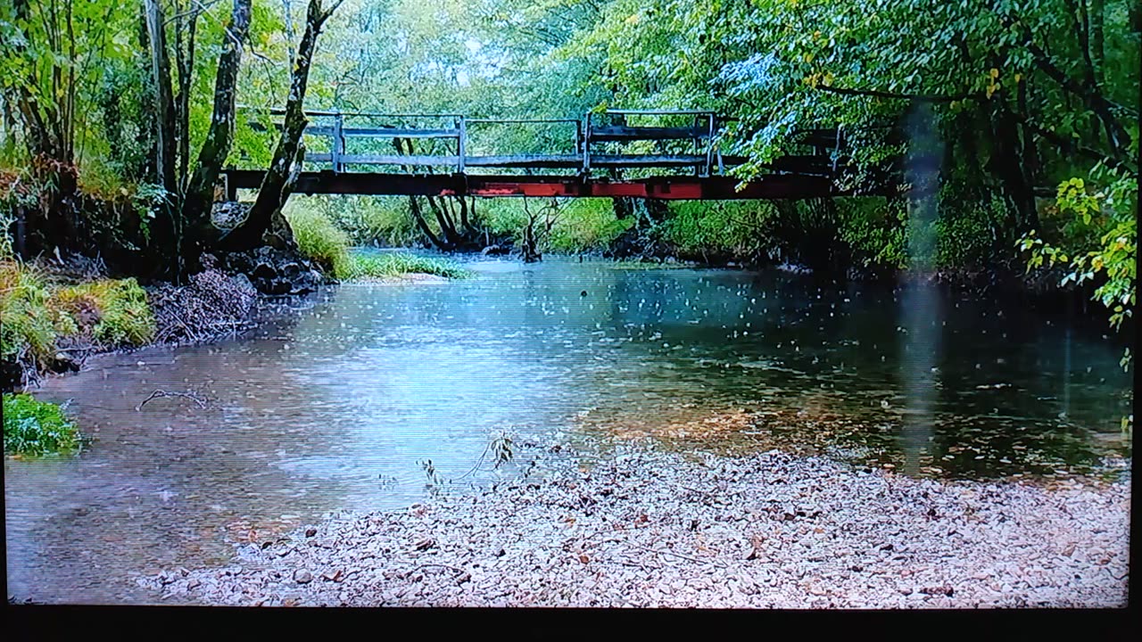 STAY THE PATH: PSALMS 119:1-8