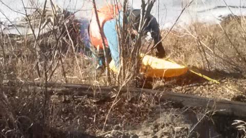 Deer Rescued from Frozen River in Alberta